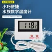 缩略图 2