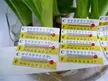 缩略图 2