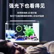 缩略图 3
