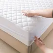 缩略图 3