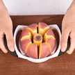 缩略图 4