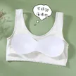 缩略图 6