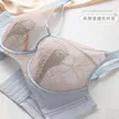 缩略图 2