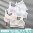 缩略图 2