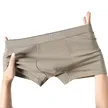 缩略图 4