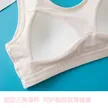 缩略图 4