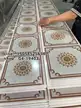 缩略图 5
