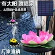 缩略图 6