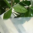 缩略图 6