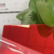 缩略图 5