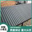 缩略图 1