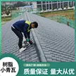缩略图 3