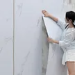 缩略图 2