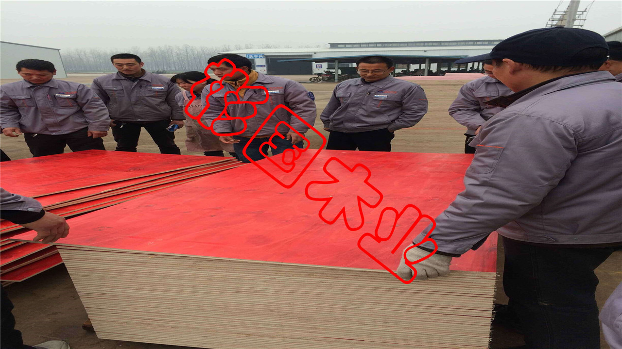 厂家货源建筑模板工地工程酚醛胶镜面胶合板黑板松木建筑木模板详情32