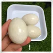 缩略图 5