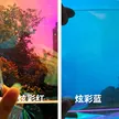 缩略图 4