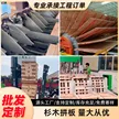 缩略图 4