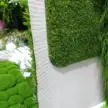 缩略图 2