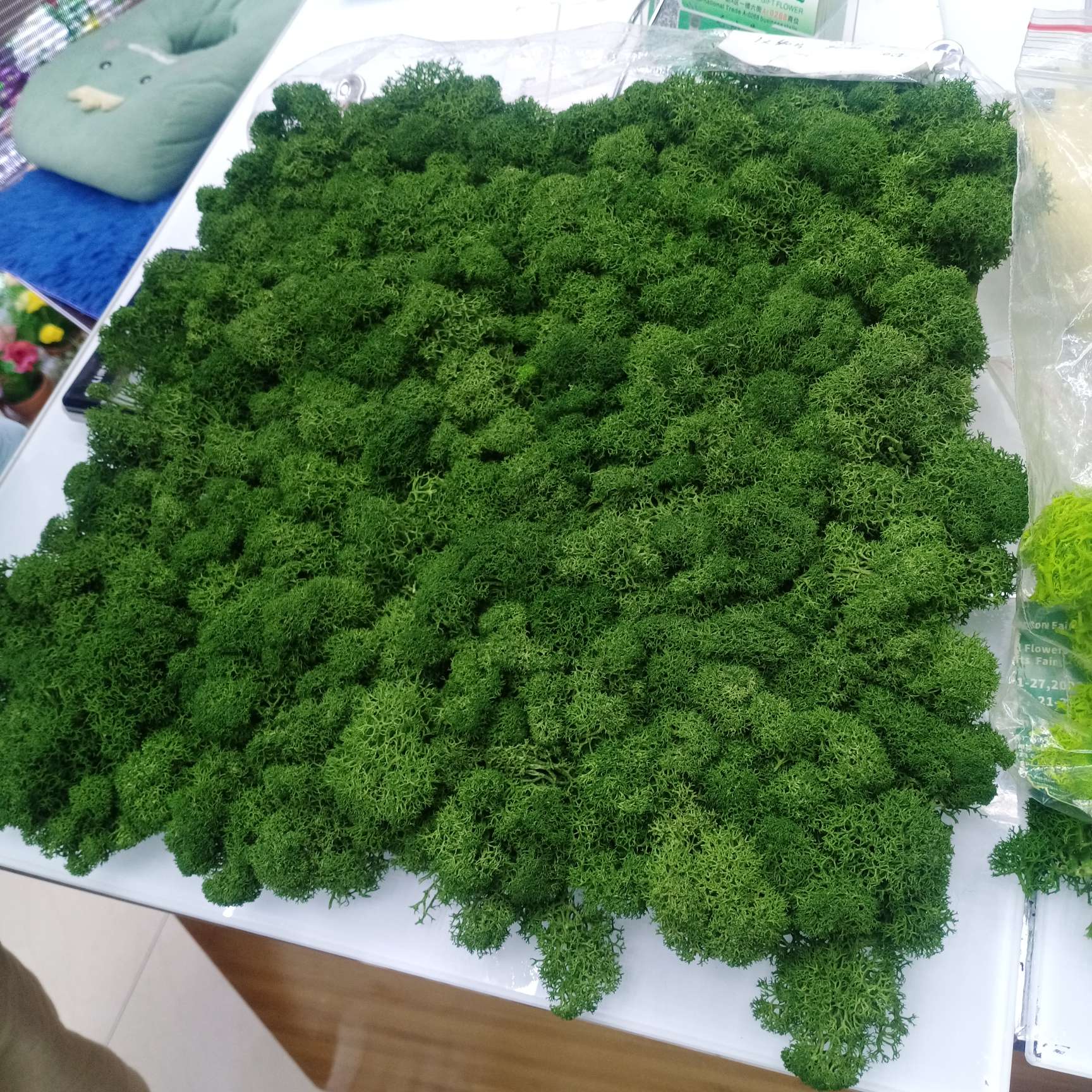 永生苔藓详情1
