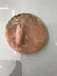 缩略图 2