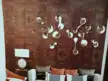 缩略图 1
