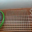 缩略图 5