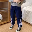 缩略图 5