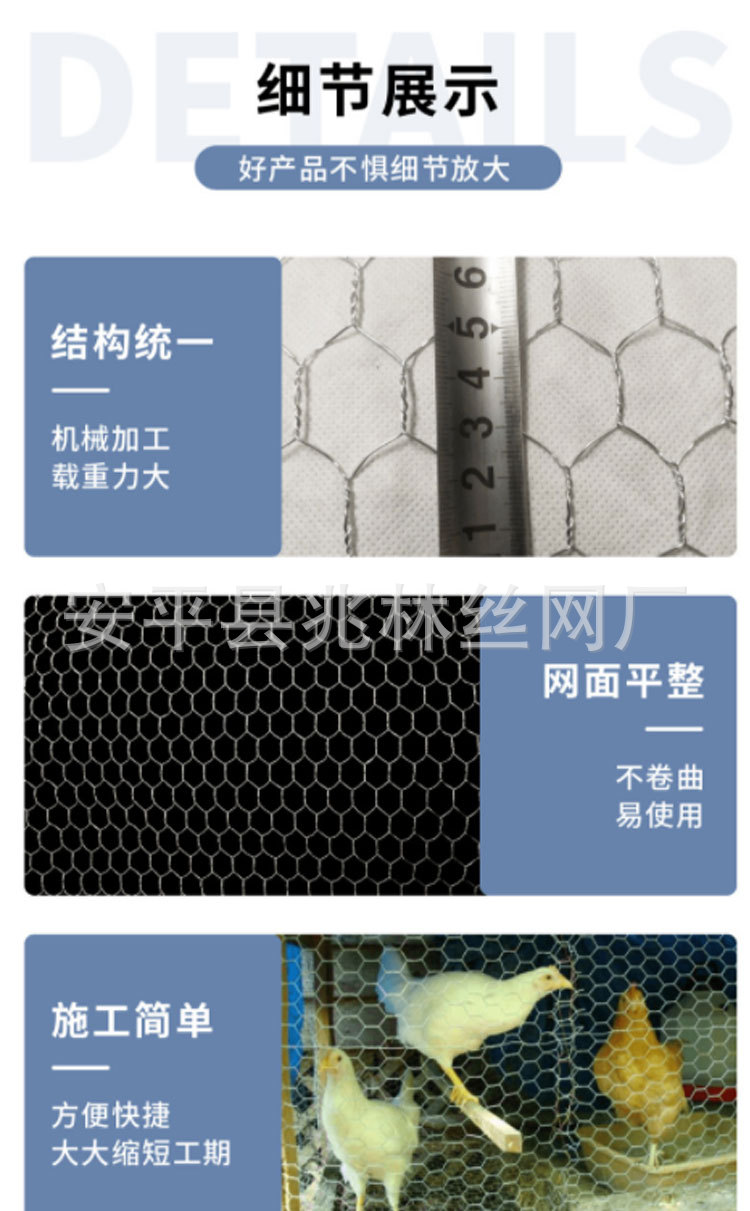 六角网_05.jpg