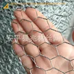 缩略图 5