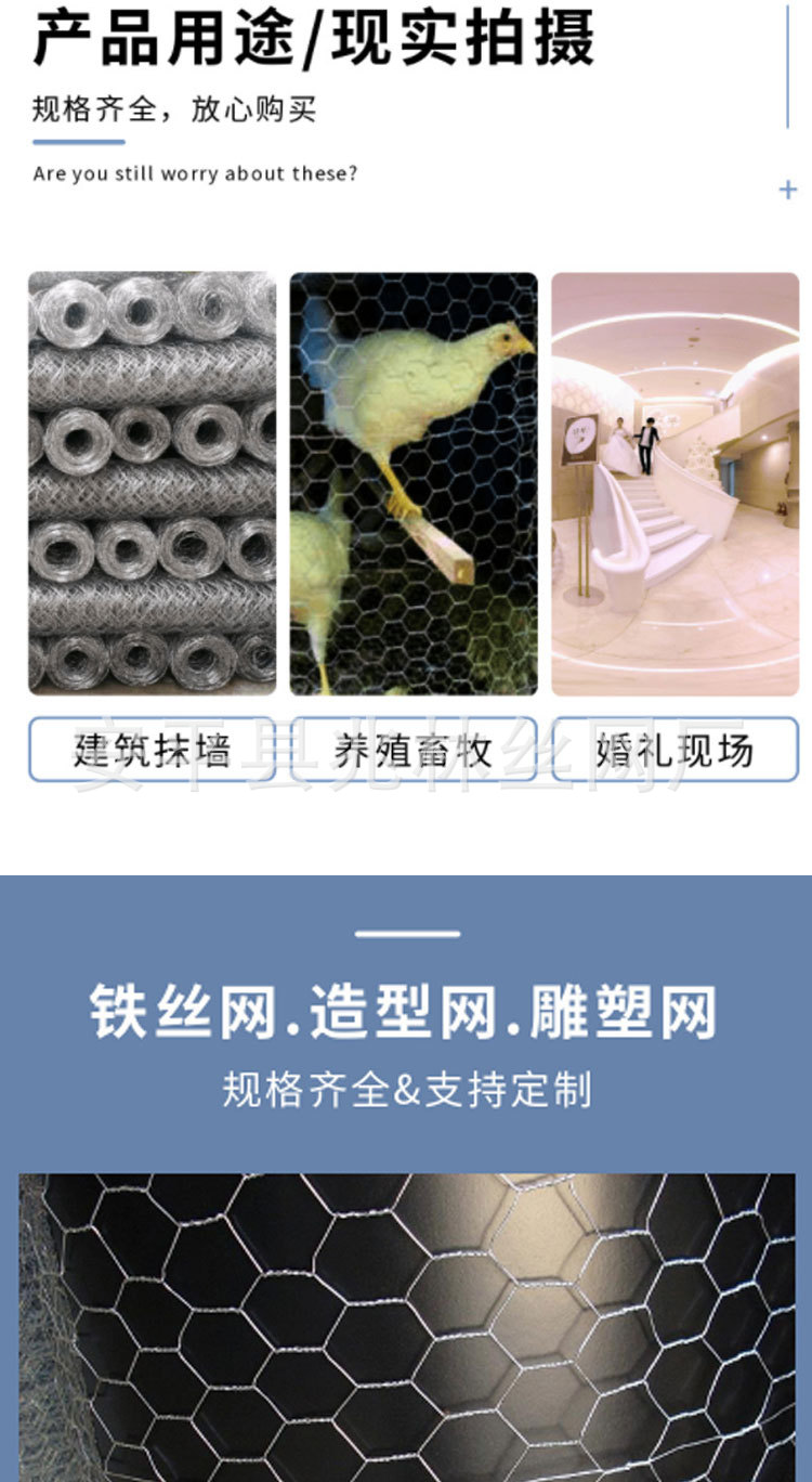 六角网_02.jpg