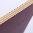缩略图 5