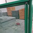 缩略图 3