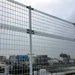 缩略图 4