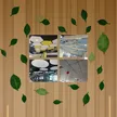缩略图 5