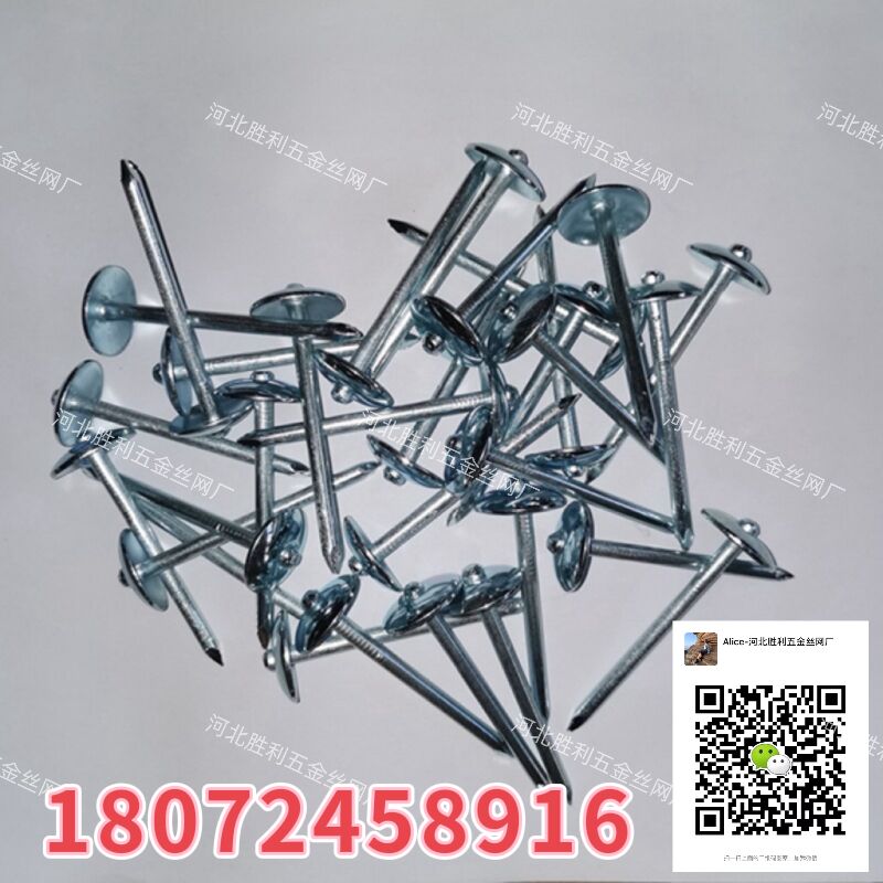 工厂生产铁皮瓦钉 瓦楞钉 直杆 麻杆 9gx2.5'' 铁钉 等各类工地用钉详情4