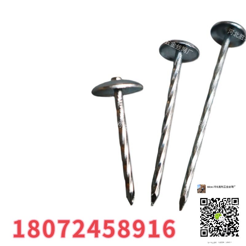 工厂生产铁皮瓦钉 瓦楞钉 直杆 麻杆 9gx2.5'' 铁钉 等各类工地用钉详情3