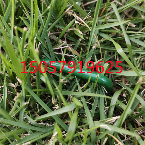 烤漆喷塑草皮钉草坪钉 固定人造草皮草坪卡钉咨询客服多色可选详情11