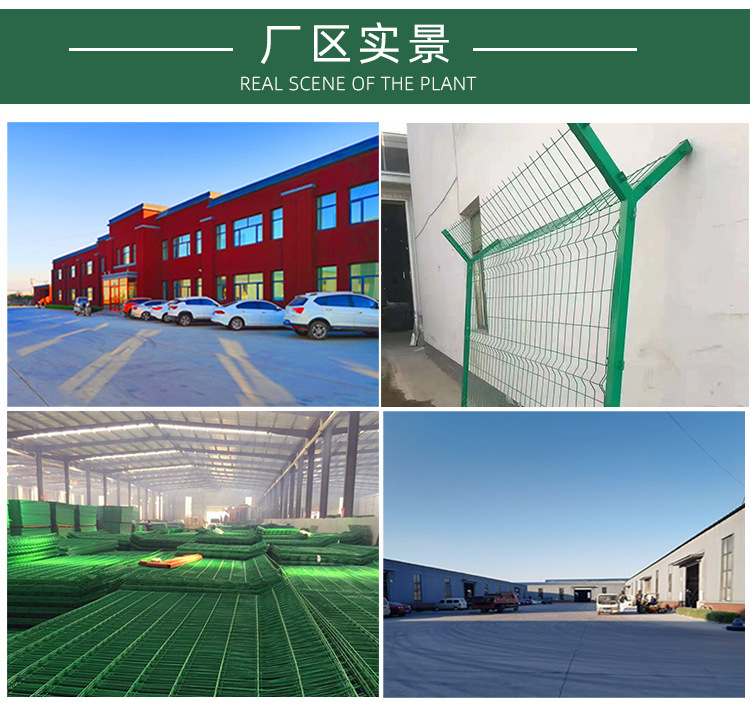 监狱护栏-绿色_09