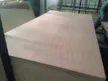 缩略图 3