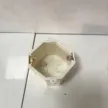 缩略图 1