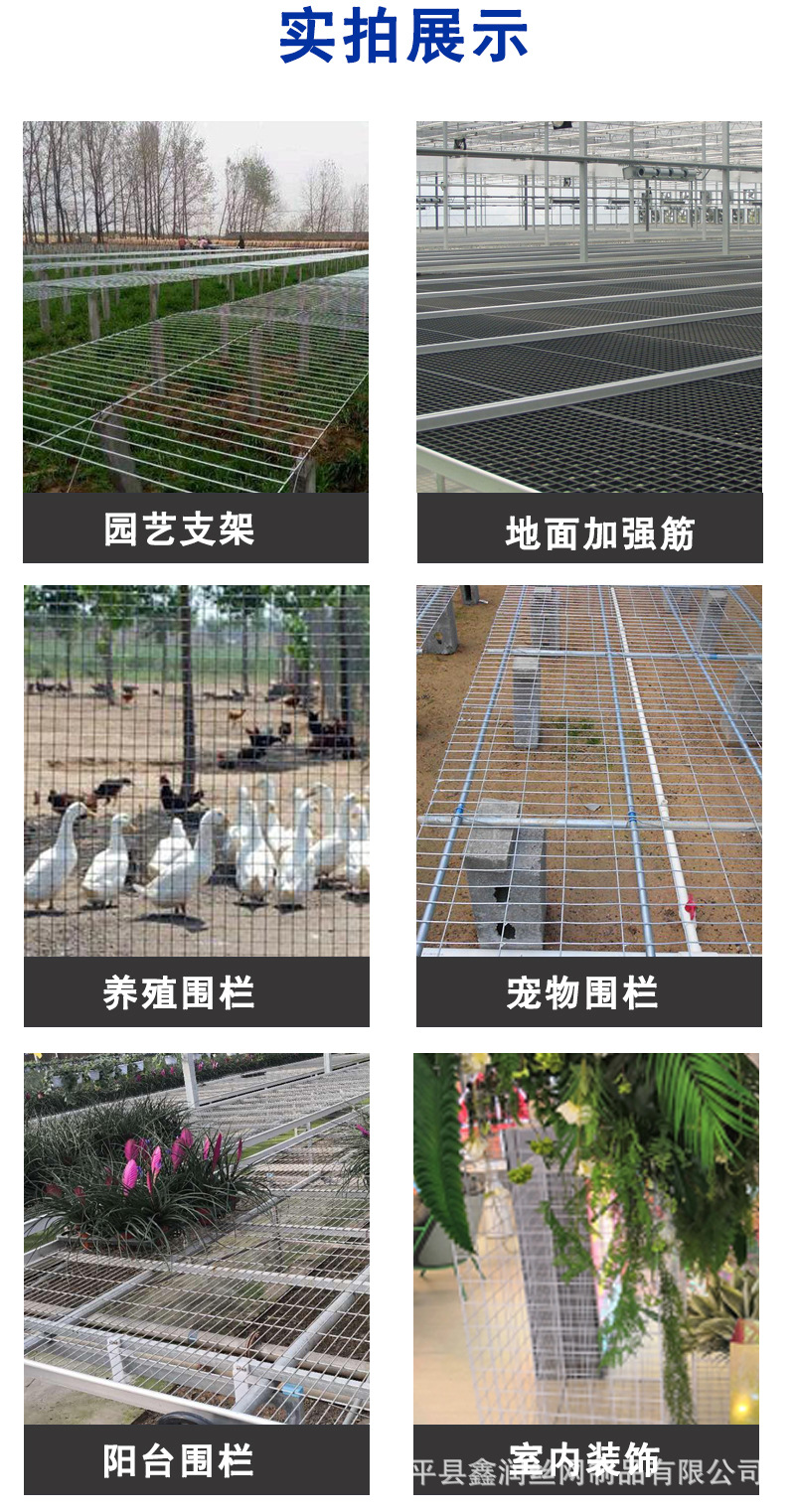 镀锌网片_07.jpg