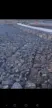 缩略图 5