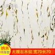 缩略图 5