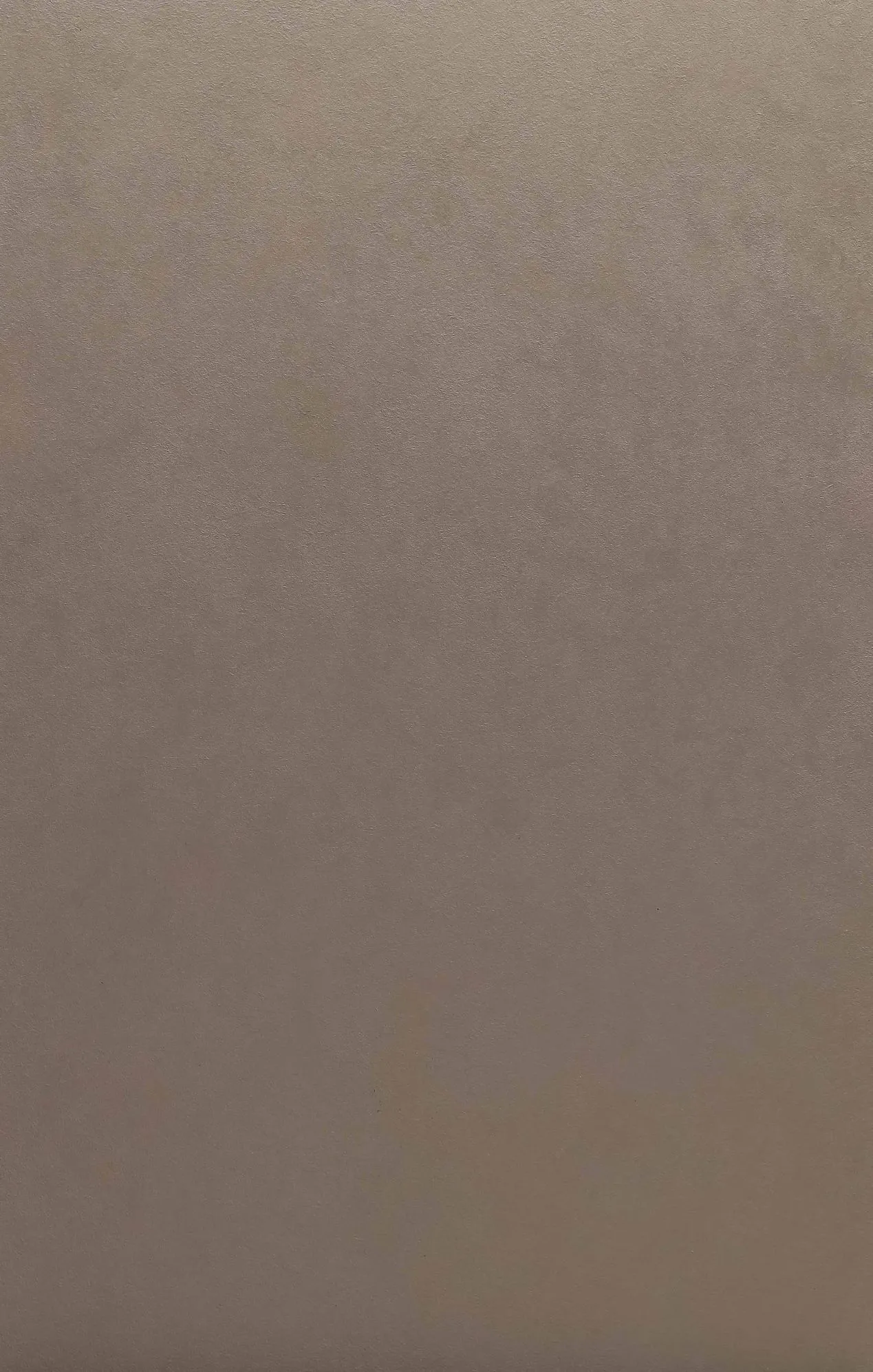 主图 1