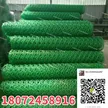 缩略图 5