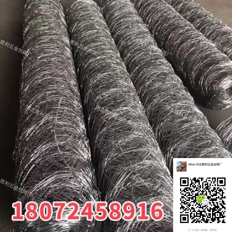主图 1