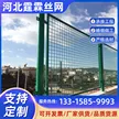 缩略图 5