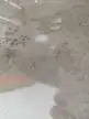 缩略图 2