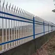 缩略图 5