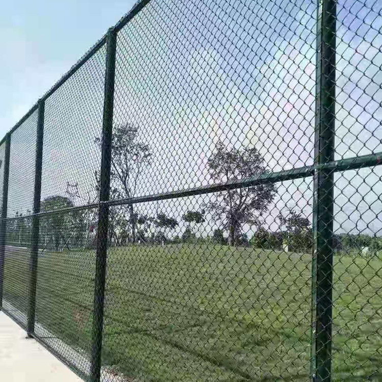 (14).jpg